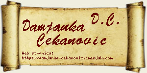 Damjanka Čekanović vizit kartica